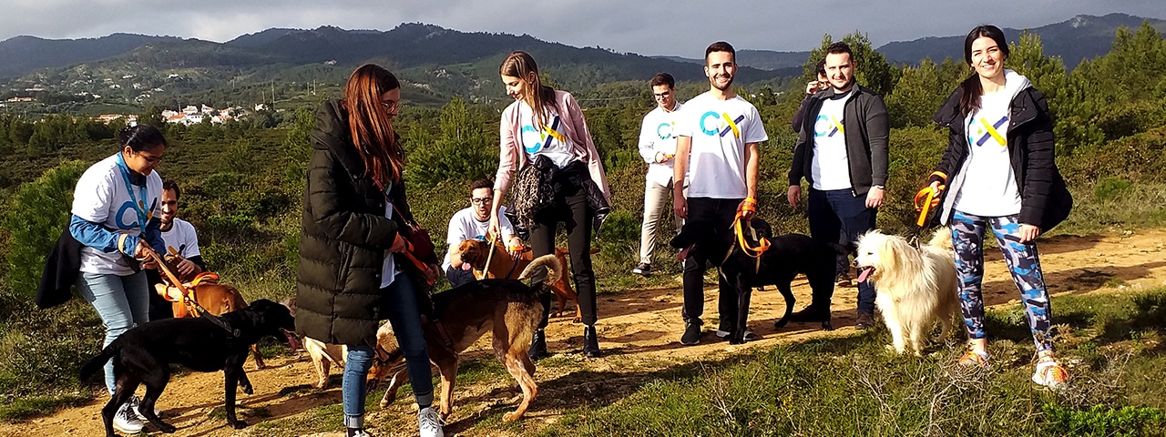 Group of people stand in nature with multiple dogs.