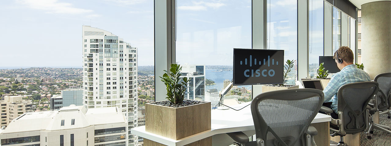 Sydney office with Cisco logo displayed on a computer scene with buildings and the ocean in the background.