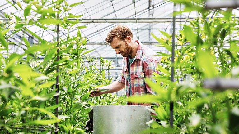 Unlock the potential of hyperconverged infrastructure