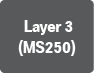  Layer 3(MS250)