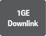 1GE Downlink