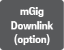 mGig Downlink(option)