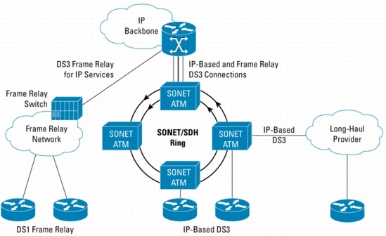 図 2 IP ベースの直接アクセスまたは IP-over-Frame Relay 展開