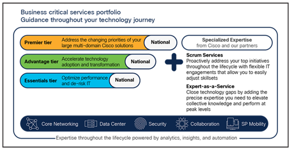 Business Critical Services