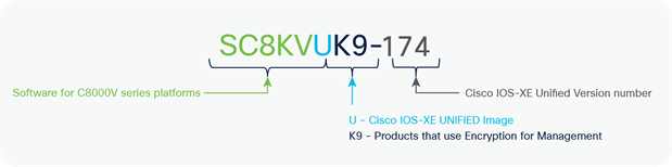 Catalyst 8000V Software PID nomenclature