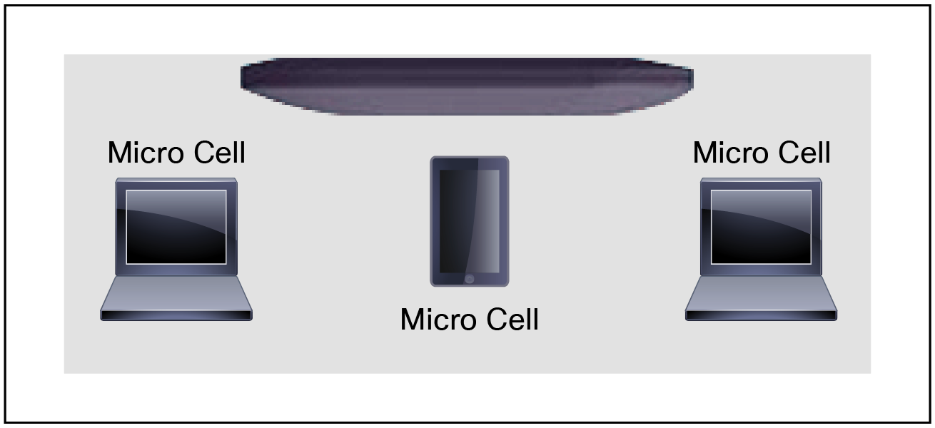 Picture of a Macro and Micro cell