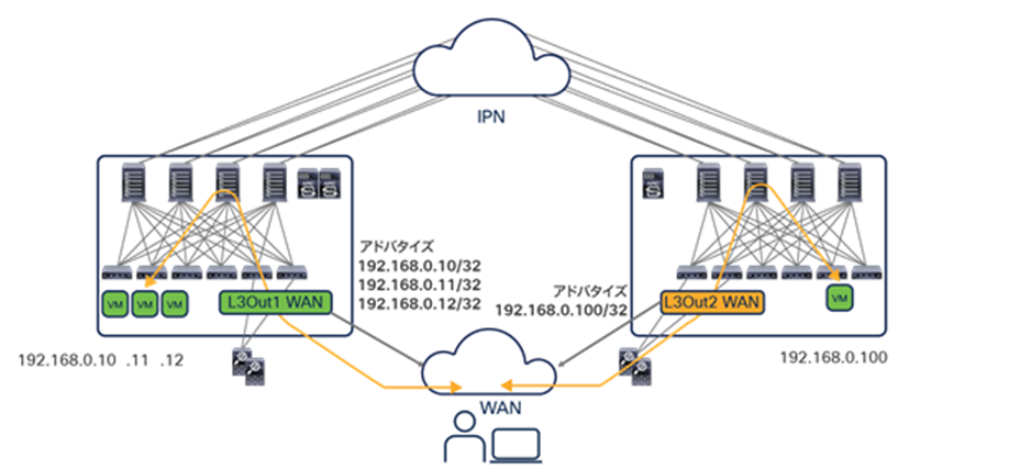 Optimized inbound/outbound traffic flows with host-route advertisement