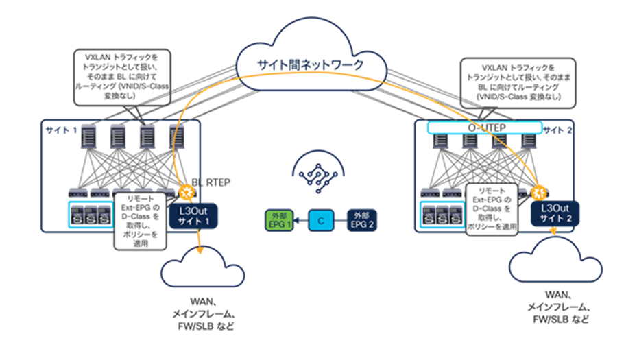 Transit routing across ACI sites