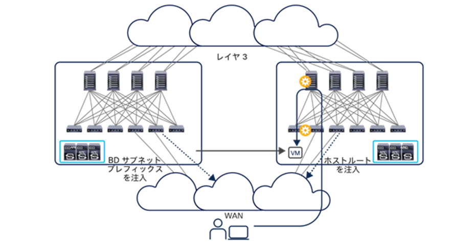 Host-route advertisement on border leaf L3Outs