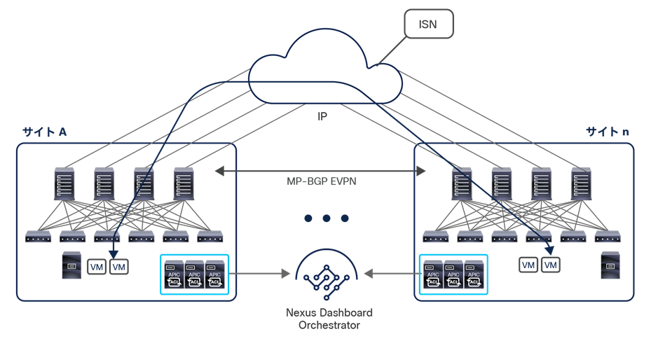 Intersite Network (ISN)