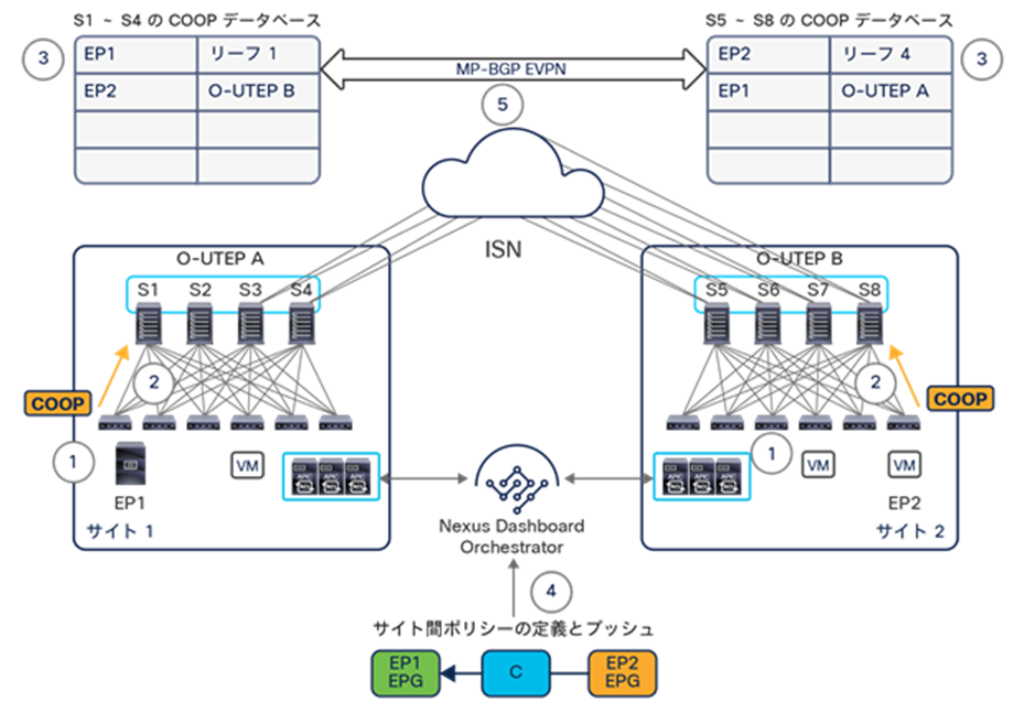 Cisco ACI Multi-Site overlay control plane