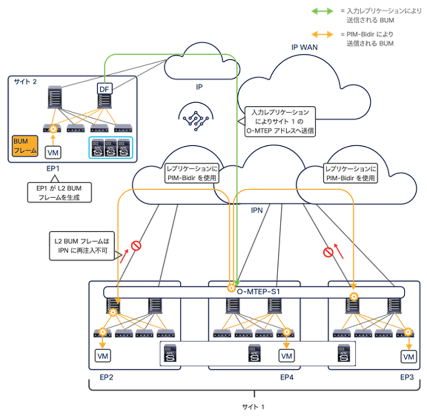 Layer 2 BUM traffic ingressing a Multi-Pod fabric that is part of Cisco ACI Multi-Site