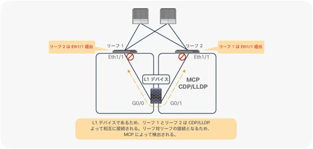 ACI Loop detection