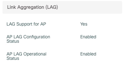 A screenshot of a computerDescription automatically generated