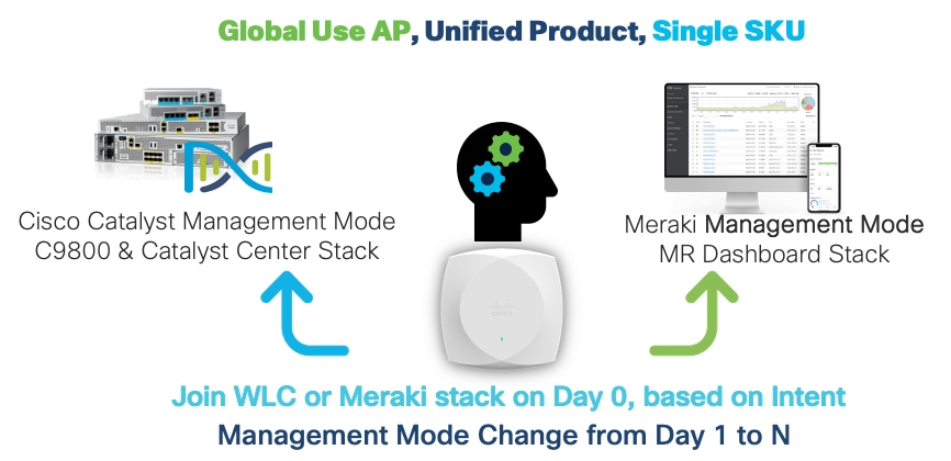 A diagram of a person's headDescription automatically generated