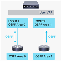 L3Out OSPF 영역