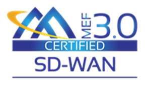 SD-WAN