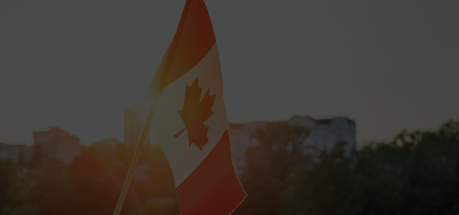 Our opportunity: Realizing Canada’s potential In the global digital economy