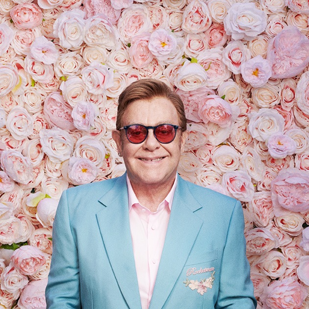 Elton John portrait with pink rose background