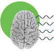 In Form von Wellen stilisierte Darstellung der Verarbeitungsvorgänge in einem Gehirn