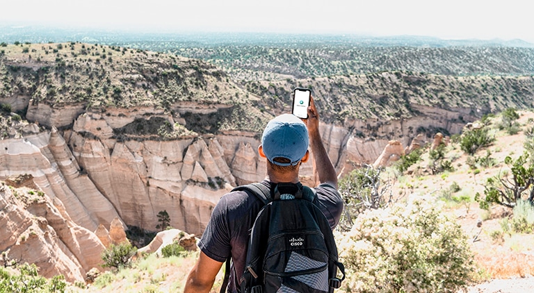 Person standing in the wilderness and looking at smart phone 