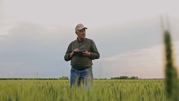 A man stands in a farming field