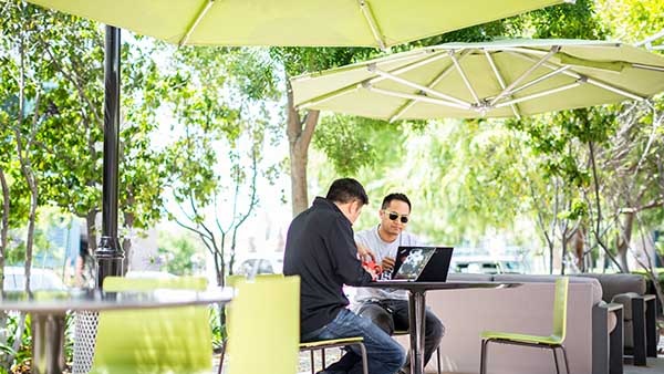 Two men working on laptops in an outdoor setting