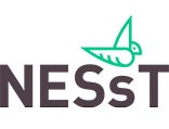 NESsT logo