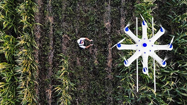 Farmer in field with drone