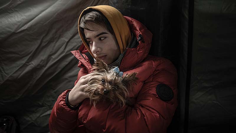 Displaced teenager holding dog
