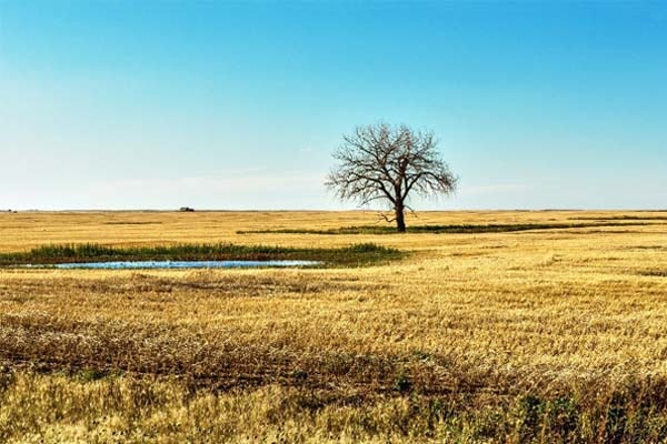 overvoew-600x400