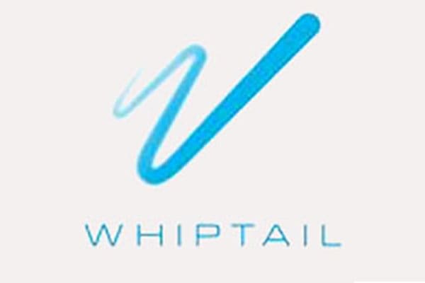 Whiptail Polytech Cisco Whiptail