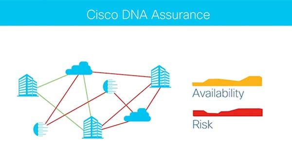 cisco