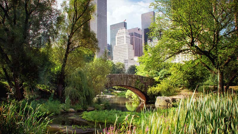 city-park-bridge-800x450