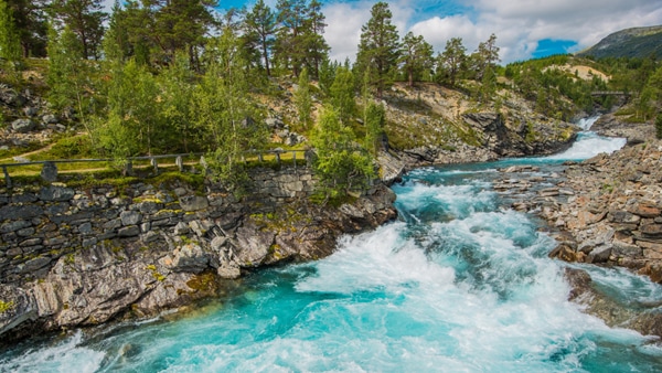 Water utility company innovates with Cisco Industrial IoT