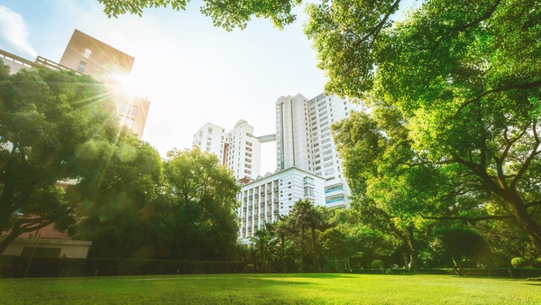 Grass field lined with trees and the sun shining over a building