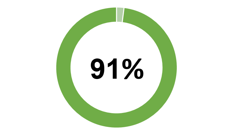 pie_chart2-91