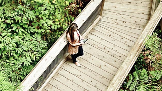 Person standing on bridge in forest looking down at device