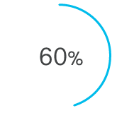 60%