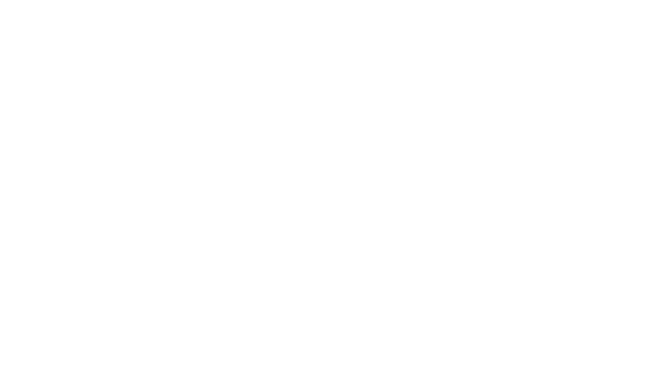 社内システムへ安全にアクセス 仮想専用ネットワーク（VPN）