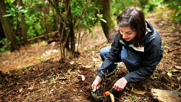 Corporate Social Responsibility (CSR)