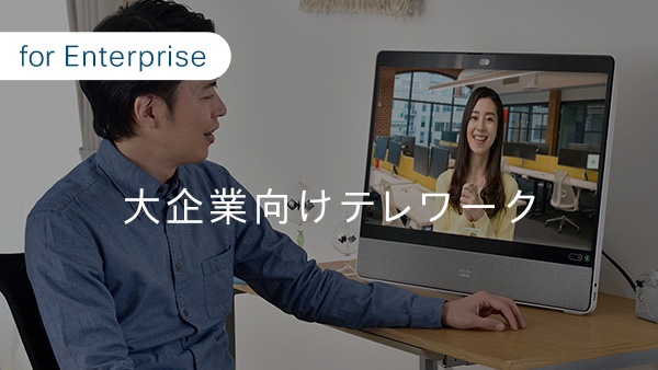 大企業向けテレワーク