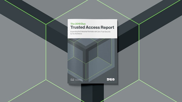 Raport Duo Trusted Access, 2019