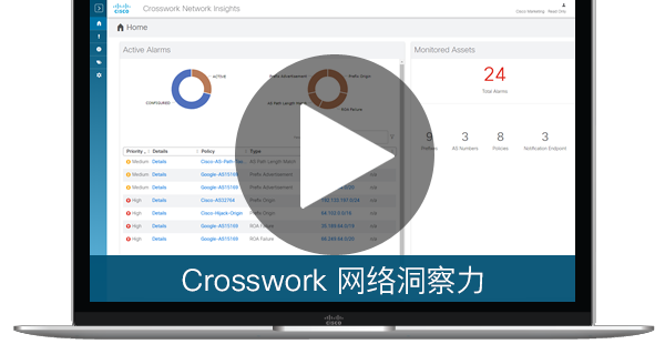 Crosswork 网络洞察力