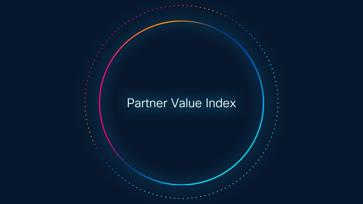 Pink-orange-blue circle with “Partner Value Index” in the center on a dark background.