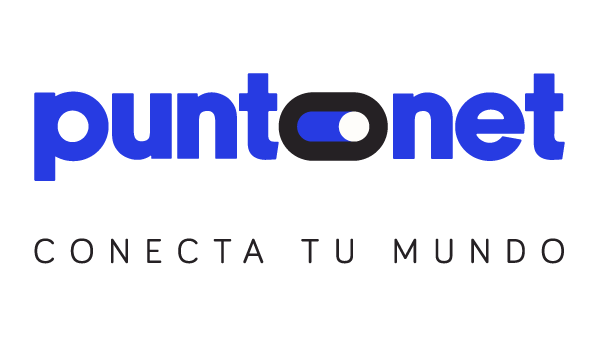 Puntonet