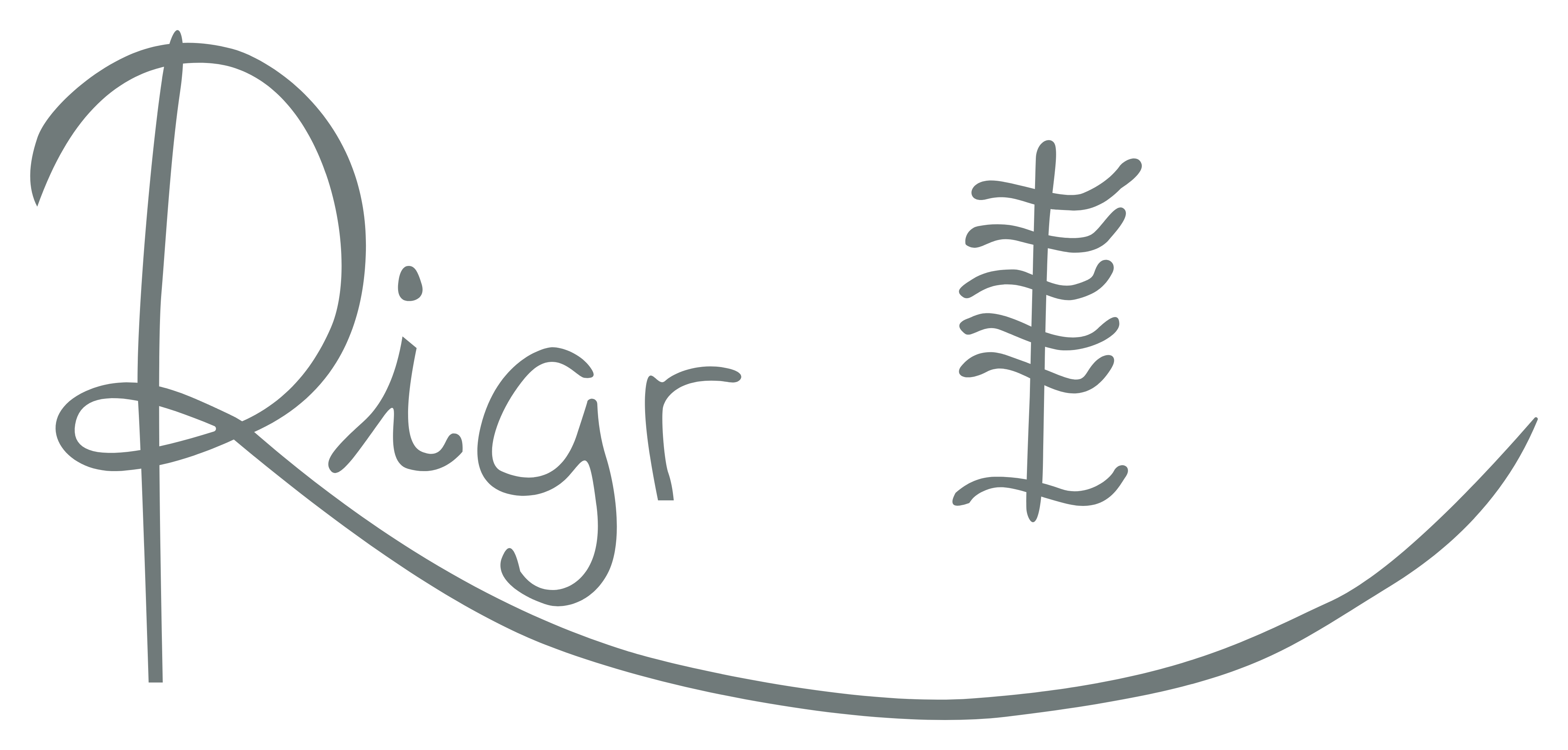 Rigr AI