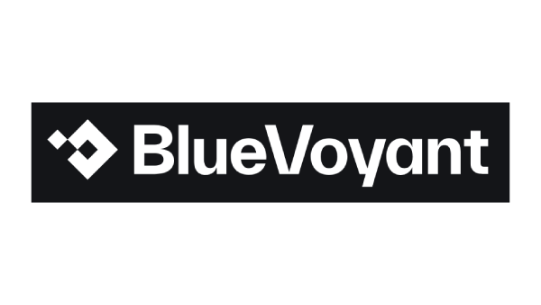 BlueVoyant
