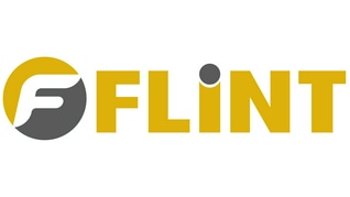 Flint Consulting Ltd