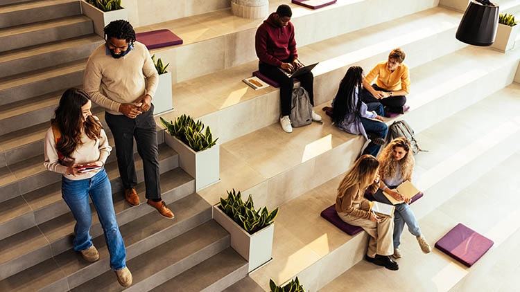 A group of young adults are gathered on wide, tiered steps in a contemporary indoor space. Some are seated and working on laptops or notebooks, while others are walking and conversing. The setting features neutral tones, potted plants, and purple seat cushions, creating a relaxed and collaborative atmosphere. The scene suggests a study session or informal meeting in an educational or creative environment.